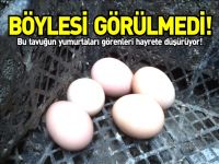 GÖRENLERİ HAYRETE DÜŞÜRÜYOR