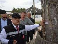 TÜRKİYE'DE BİR İLKE İMZA ATILDI