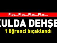 OKULDA DEHŞET