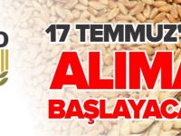 TMO 17 TEMMUZ'DA ALIMA BAŞLAYACAK
