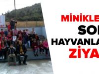 MİNİKLERDEN SOKAK HAYVANLARINA ZİYARET