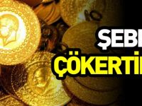 ŞEBEKE ÇÖKERTİLDİ